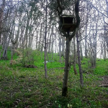 Buková Сasa de vacaciones Brezina (Trnava)