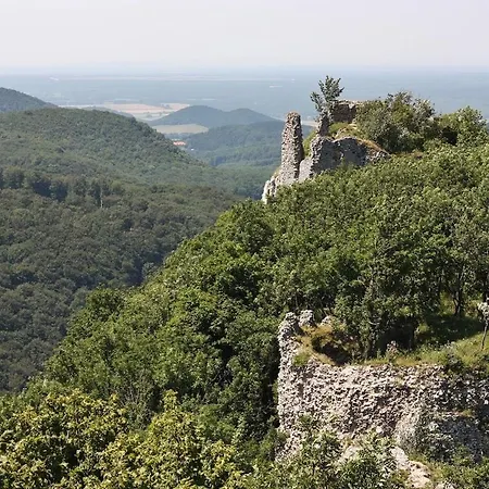 Buková